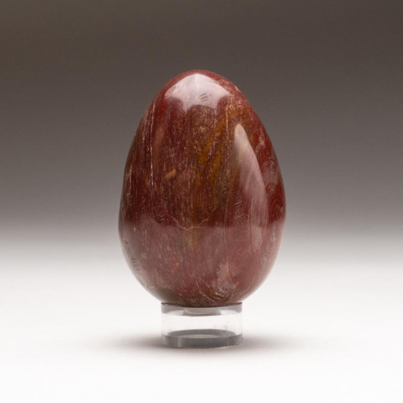 Petrified Wood Egg, Yellow/Brown, 3" H x 2" W x 2" D