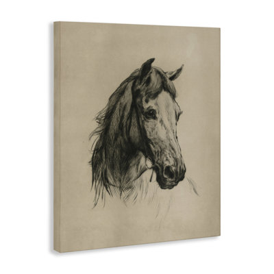 «Charcoal Horse Portrait», art mural par Arlington Prints