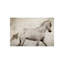 Calm Spirit Print by Zoey Riley-25709396-25709403
