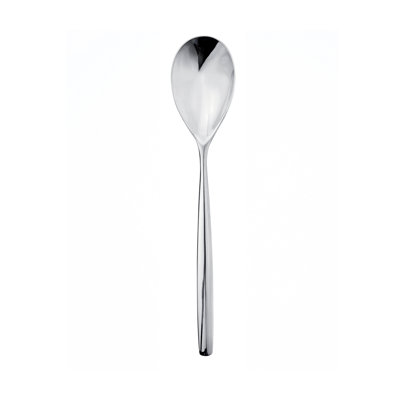 Stiria Stainless Steel Serving Spoon