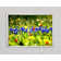 Bright Star Spring Fling - Single Picture Frame Art Prints on Canvas ...