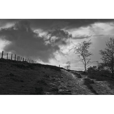 Lonely Path II by Martin Henson - Wrapped Canvas Art Prints