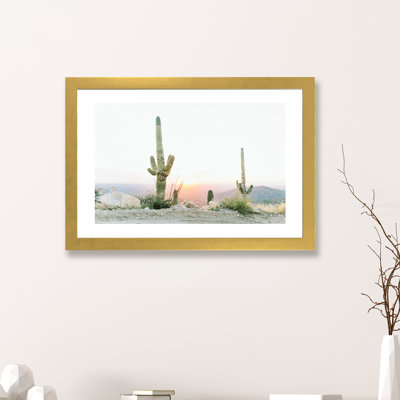 «Saguros in the Sun, Tuscon, Arizona», photographie