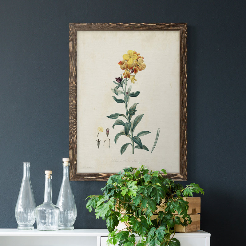 Toile encadrée de qualité supérieure Traditional Botanical III - prête à être accrochée, H 32 po x l 23 po x P 1 po, Noyer