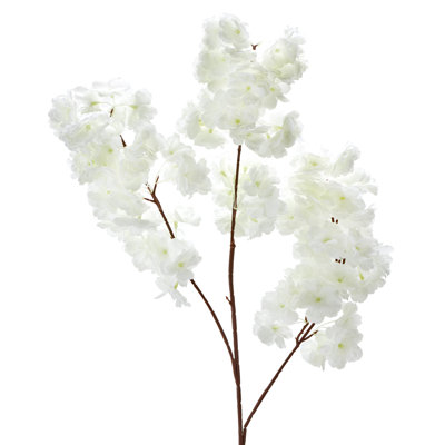 Jet de fleurs de cerisier