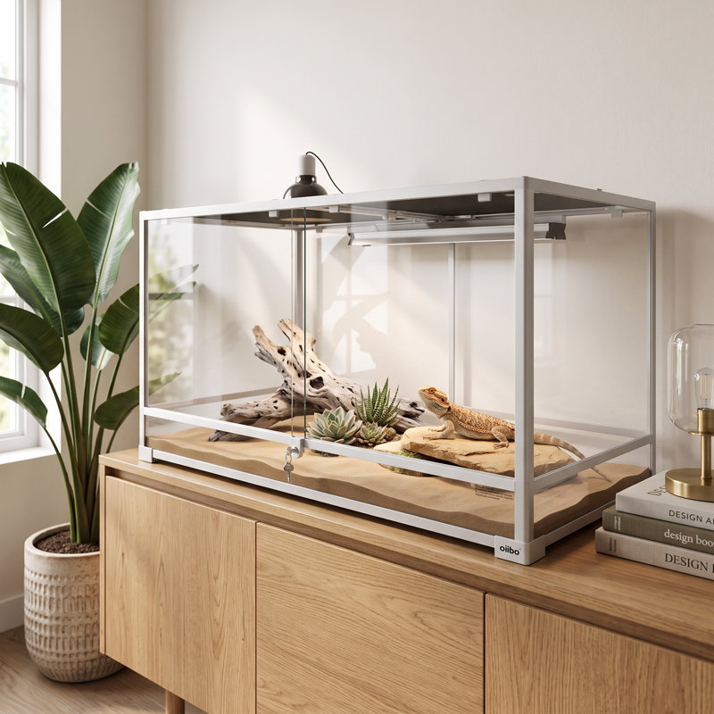 48 in. x 24 in. x 24 in. Glass and Plastic Reptile Terrarium