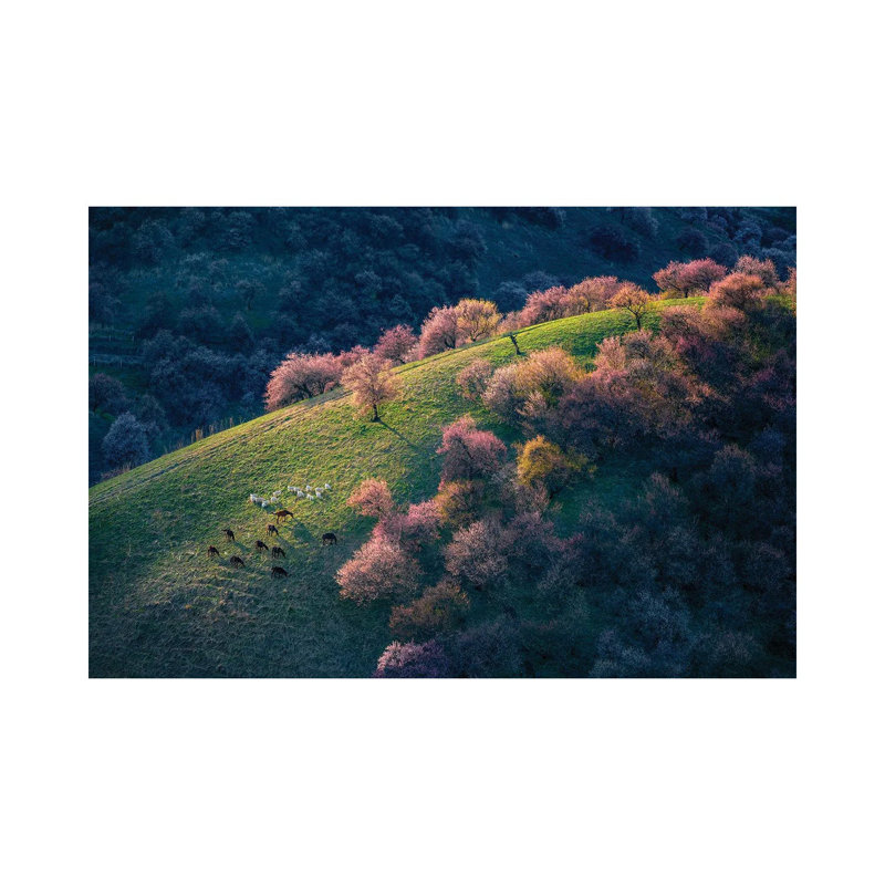 Sunset In The Primitive Wild Apricot Forest by Hua Zhu - Wrapped Canvas Print, 20.32 cm H x 30.48 cm W