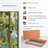 " Forest Study I "-400595227