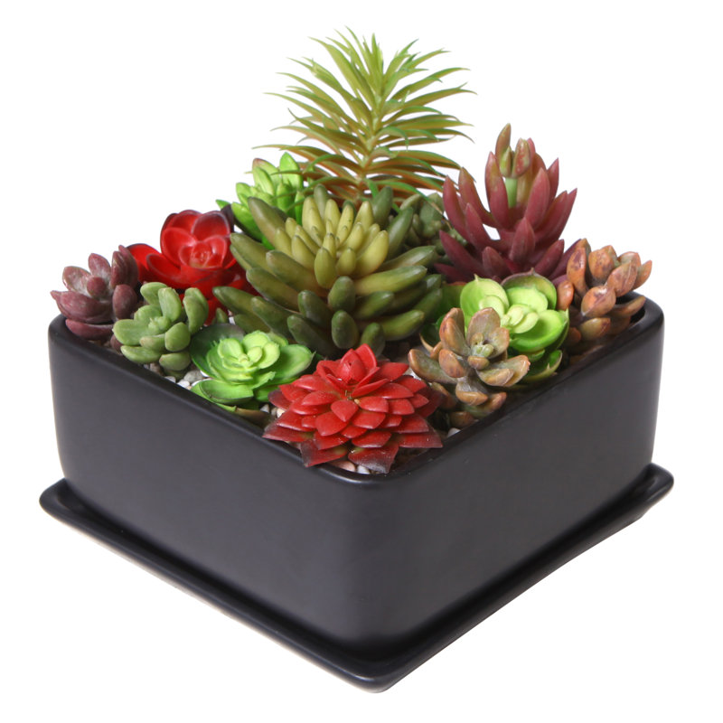 Pot de fleurs d'intérieur en céramique Hens, Noir
