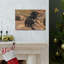 «Sloth Bear Group», art mural paresseux