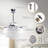Heatherly 36'' Ceiling Fan with Light Kit-1449160293