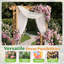 Tonnelle de jardin en bois massif l 60 po x H 85 po, treillis de pergola extérieur pour plantes grimpantes