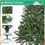 Arbre de Noël artificiel 4,5 pi