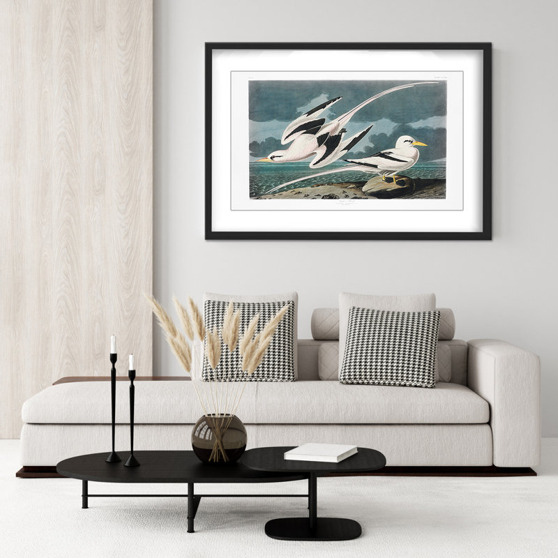 Nature Inspired Tropic Bird From Birds Of America (1827), 16" H x 24" W