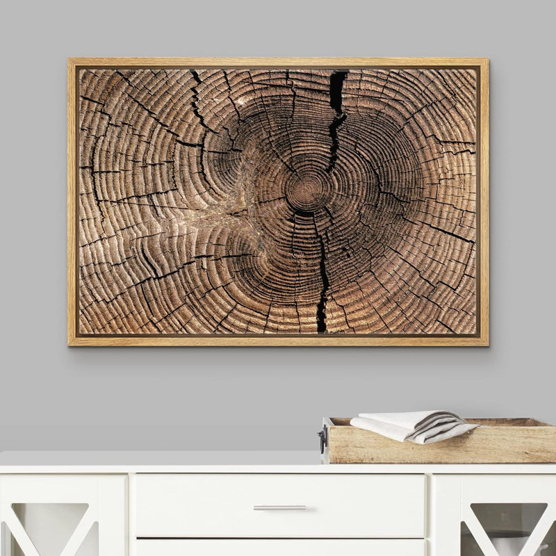 «Brown Log Wood Ring Rings Nature» sur toile, H 24 po x l 36 po x P 1,5 po, Cadre naturel flottant