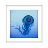 La Meduse 2 Print by Francis Augustine