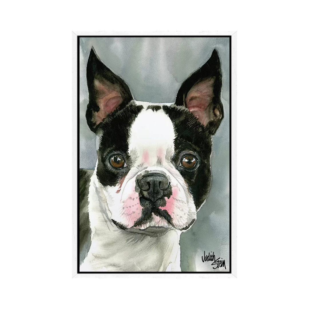 American Gentleman - Boston Terrier by Judith Stein - Painting on Canvas