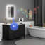 Bluetooth LED Bathroom Mirror Illuminated-372604468-372604465