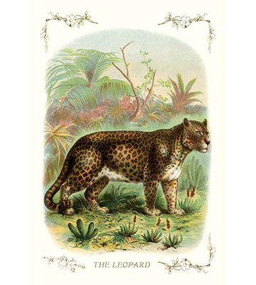 The Leopard Painting Print The Leopard Painting Print