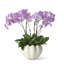 Mirabelle Ceramic Table Vase-48487603