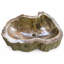 Lavabo en bois pétrifié, naturel