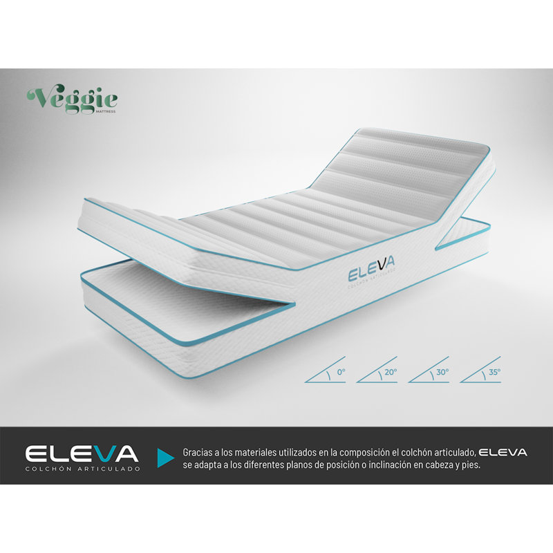 Veggie Mattress Foam Mattress, Double (4'6)