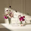 Waterford Mastercraft Powerscourt Vase-983974603