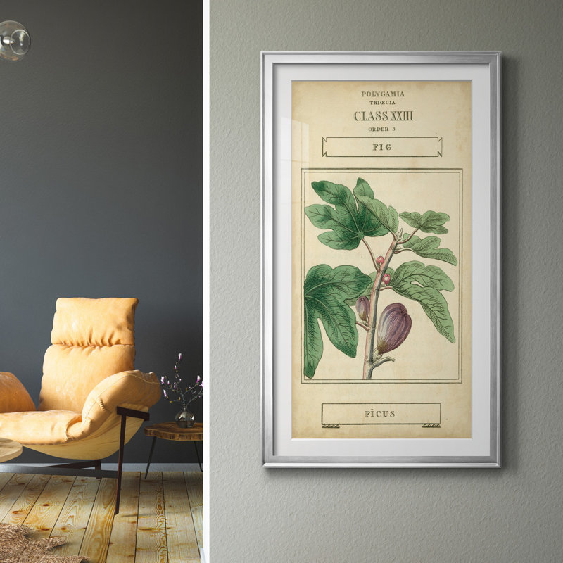 Linnaean Botany VI - Peinture sur toile encadrée, Argent, H 22,5 po x l 42,5 po x P 1,5 po