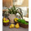 17 Stories Glenmoral Wicker Serving Bowl