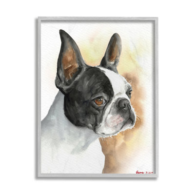 " Boston Terrier Pet Dog " by George Dyachenko Painting Print