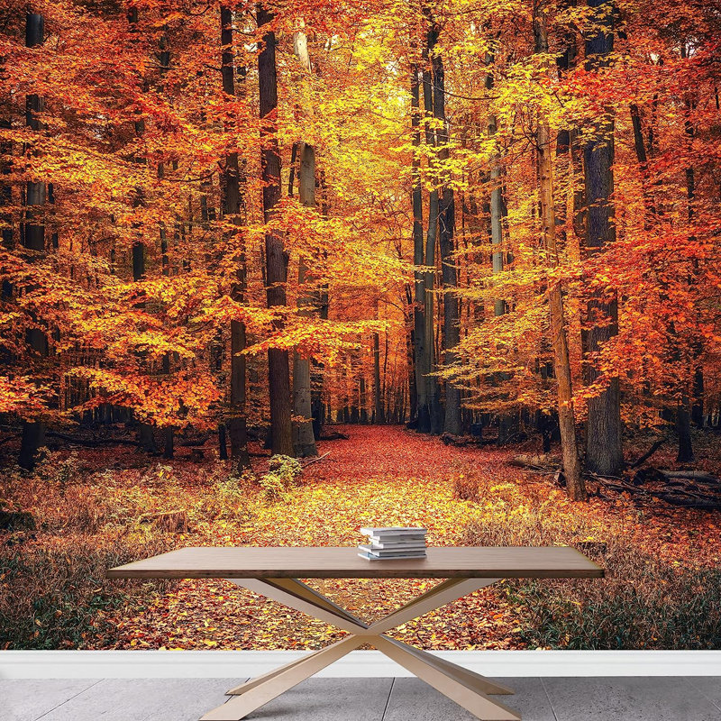 Murale à peindre Pathway in the Autumn Forest Park, L 100 po x l 144 po