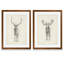 «Moose Study» par Antonyus Bunjamin (Abe), ensemble de 2 reproductions d'art sur toile-72461844-72461850-25285870