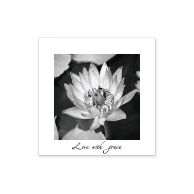 Lily Flower Matted - Wrapped Canvas Print