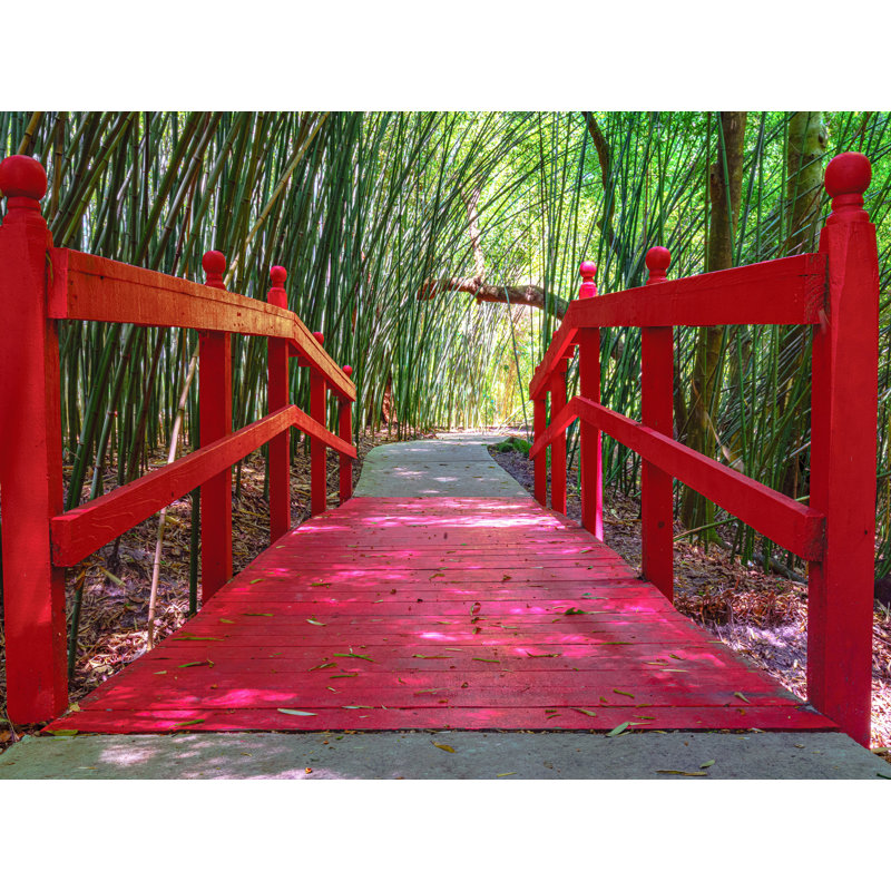 Kanapaha Botanical Gardens, Red Bridge, Gainesville, Floride par Brian Mc Clean - photographie, Toile tendue