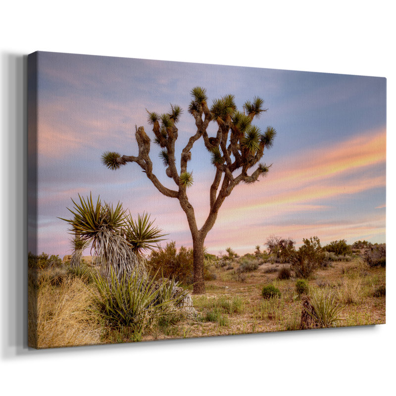 Joshua Tree Sunrise - Toile tendue avec châssis tendue, prête à être accrochée, H 21 po x l 41 po, Doré