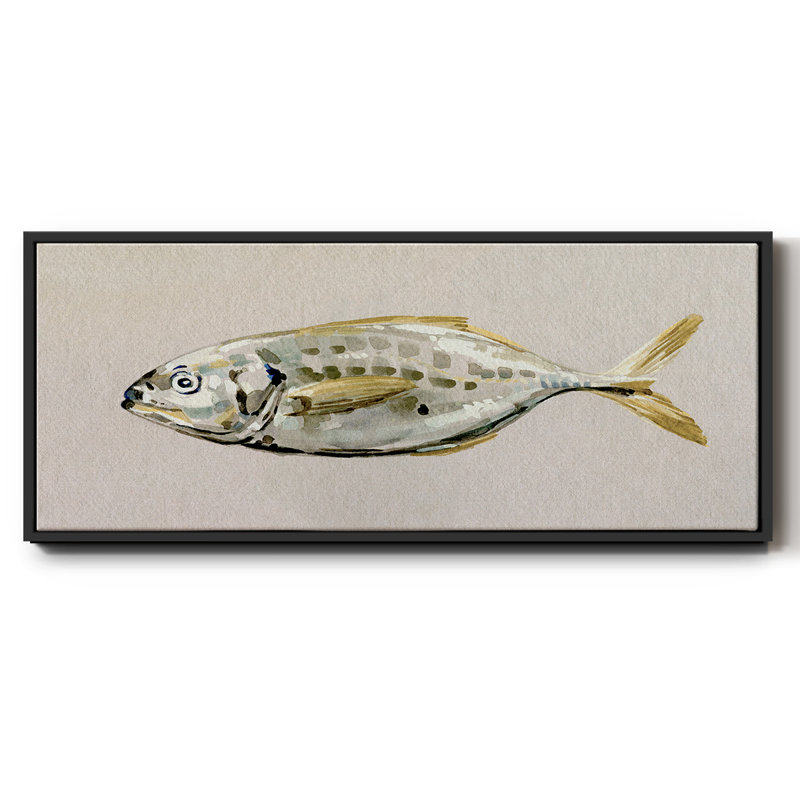 Fresh Fish Study II- Framed Canvas, 24" H x 60" W
