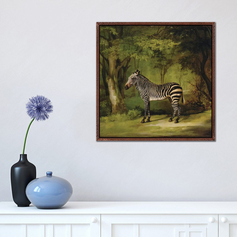 A Zebra, 1763 by George Stubbs - Painting on Canvas, Classic Brown Wood Framed, 45.72cm H x 45.72cm W x 3.81cm D