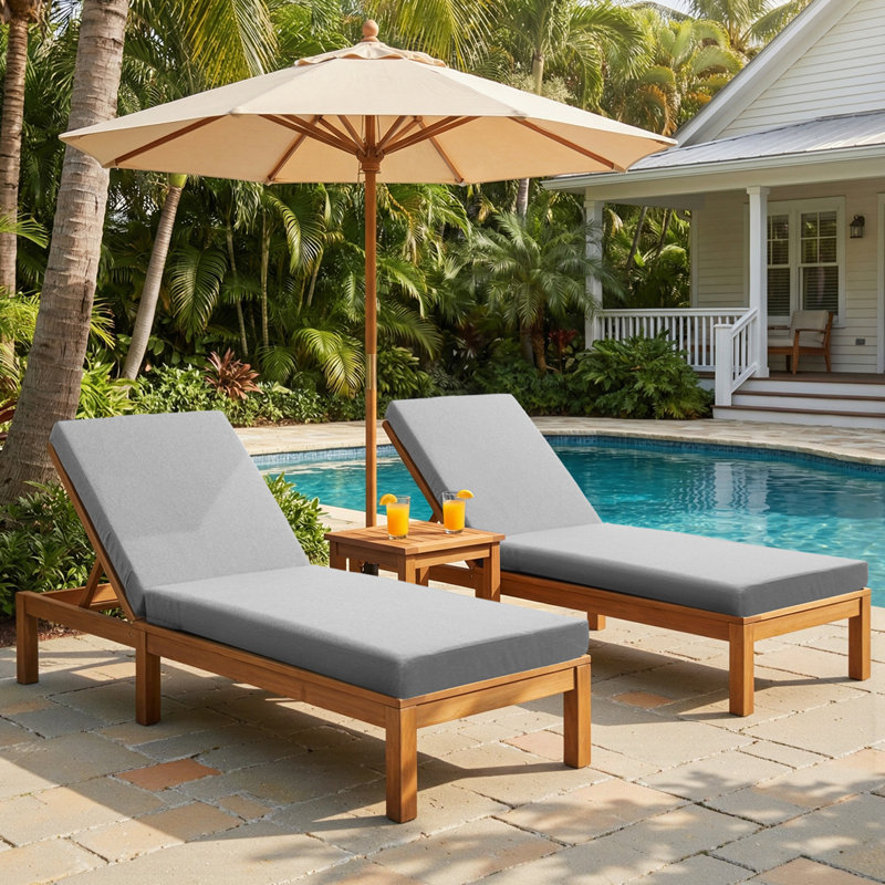 Tannyfarm Outdoor 3.5'' Chaise Lounge Seat / Back Cushion (Set Of 2), Gray, 2
