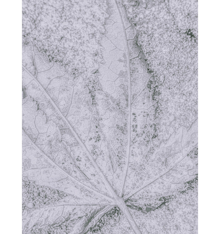 1 Piece Wrapped Canvas Wall Art