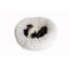 Lit rond pour chat-50918139