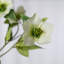 Rose de Noël artificielle en soie Audet (paquet de 1 branche)-979613394