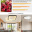 Athenna LED Flush Mount-548368404