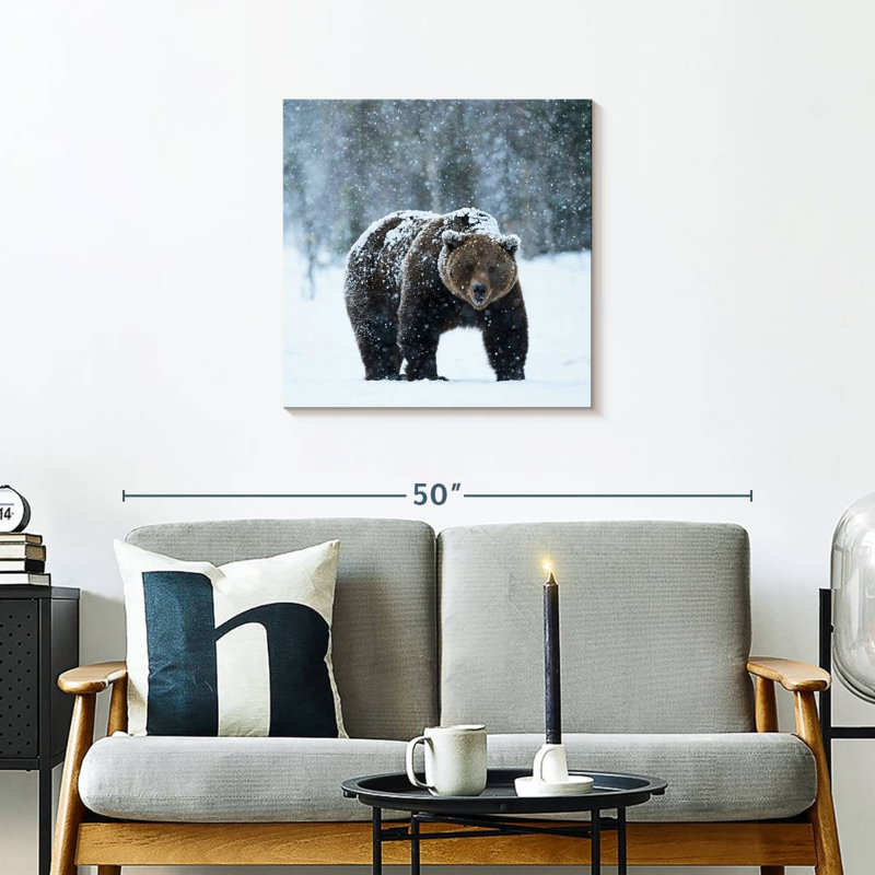 Crowle Winter Brown Bear, 24" H x 24" W