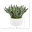 Faux Sansevieria Plant in Fiberstone Planter