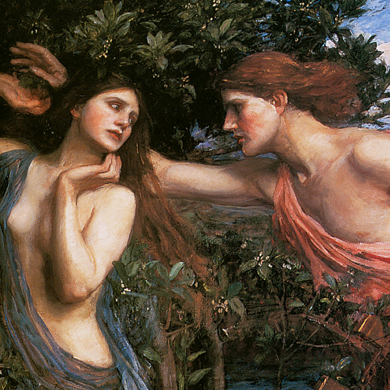 «Apollo and Daphne, 1908» par John William Waterhouse, reproduction d'art encadrée, H 17,25 po x l 15,25 po x P 1,875 po