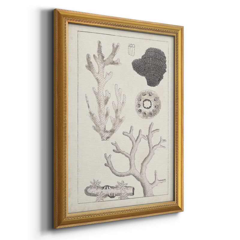 Toile encadrée Corail II antique de qualité supérieure - prête à être accrochée, H 20 po x l 16 po x P 2,5 po