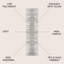 Errol Aya Berber Stripe Geometric Cream/Grey Rug-2064199954