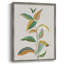 Touched with Sage I, reproduction encadrée - bois massif 49456-1394109071