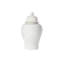 Handcrafted Ceramic Jar