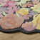 Tapis Novelty Jaquasia